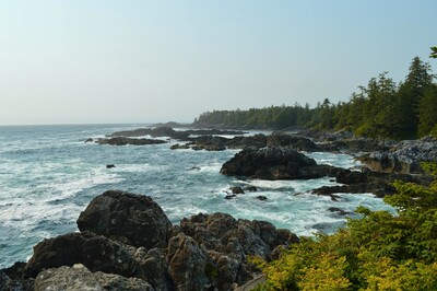 Link to: https://neuromotion.ca/pages/mid-vancouver-island-team